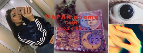соль ск Няндома