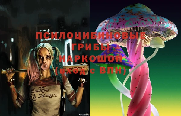 mdma Новозыбков
