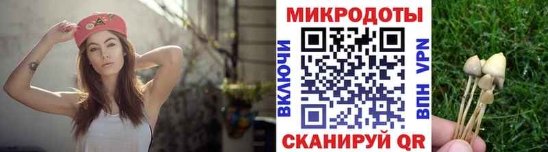 Купить  Солнечногорск  Галлюциногенные грибы GOLDEN TEACHER 